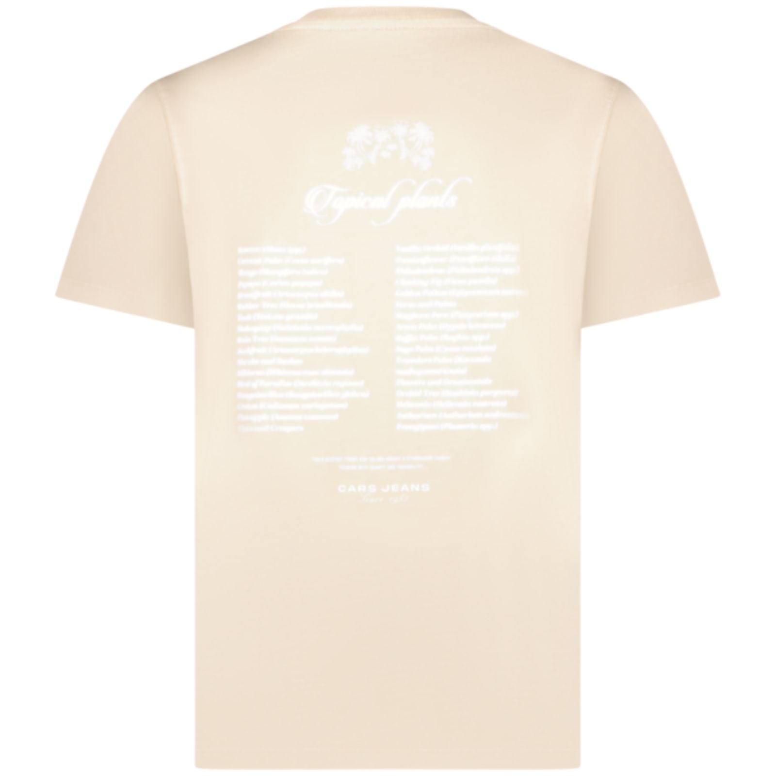 Lichtbeige ronde hals backprint t-shirt Zmoy