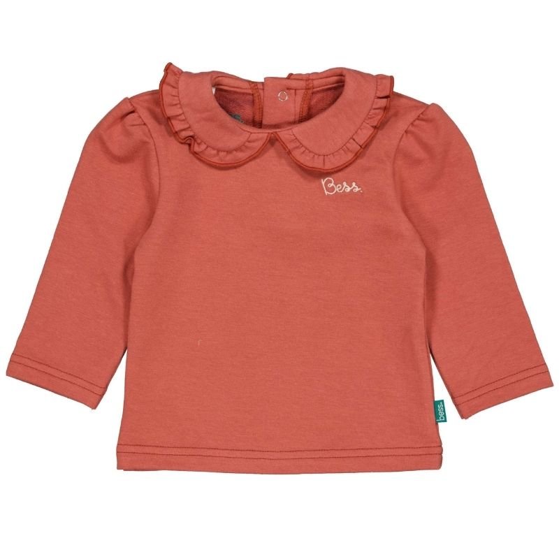 Cedar Wood shirt Collar 261036 - Capuchon Fashion