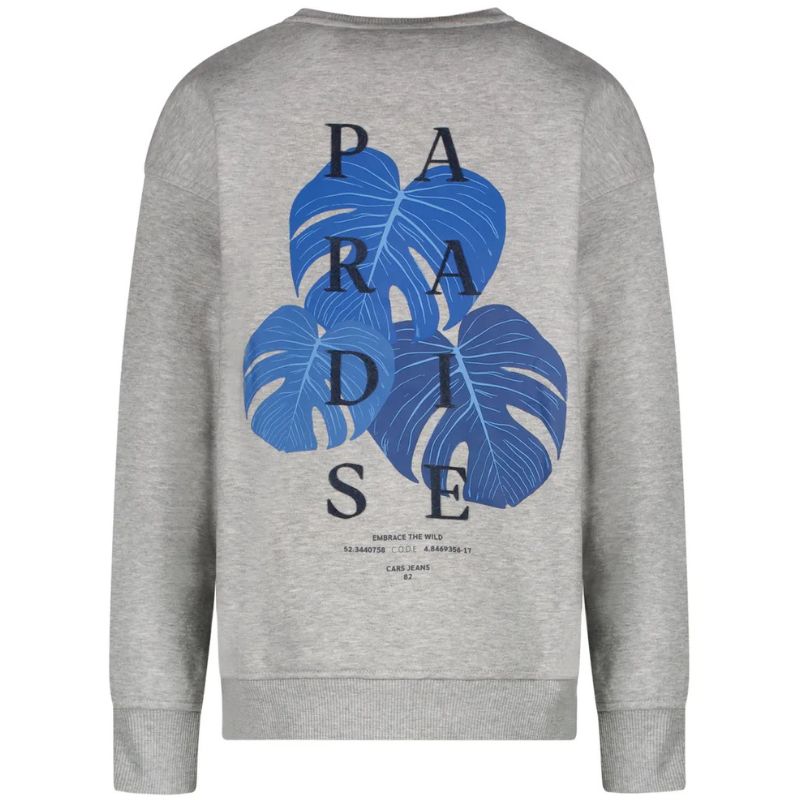 Grijs geprinte backprint sweater Diso - Capuchon Fashion