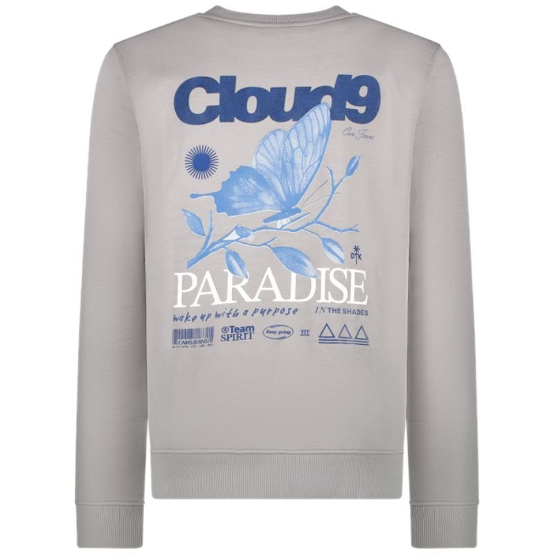 Grijze backprint sweater Cloud - Capuchon Fashion