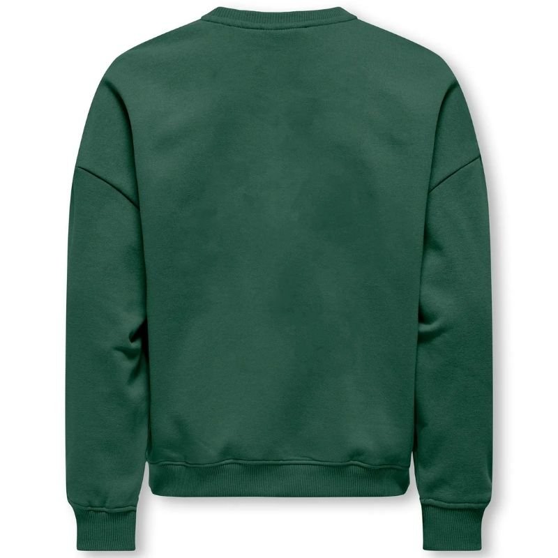 Groen geprinte o - neck sweater Bila - Capuchon Fashion