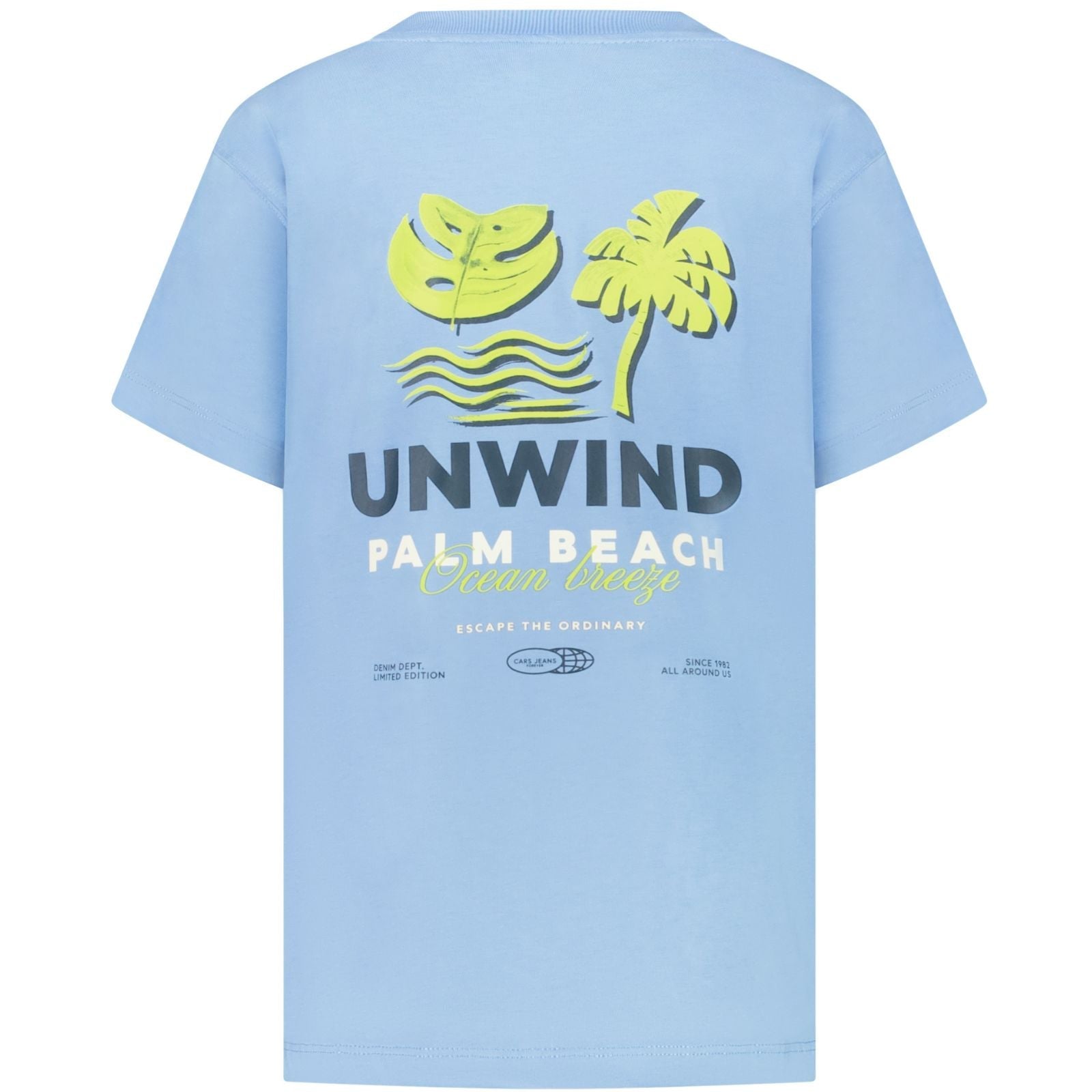 Lichtblauw backprint t-shirt Pluyo - Capuchon Fashion