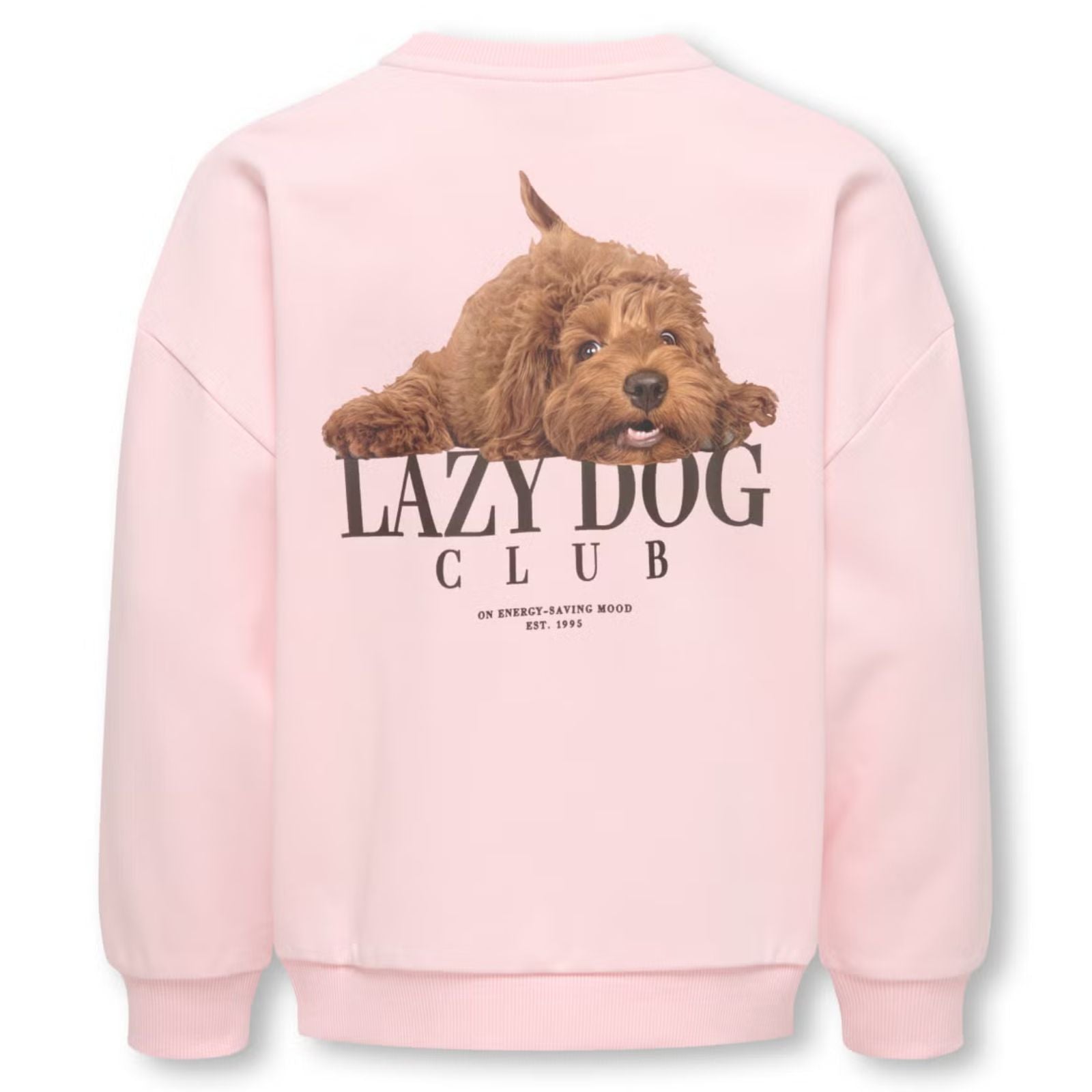 Lichtroze Lazy Dog geprinte o-neck sweater Bila