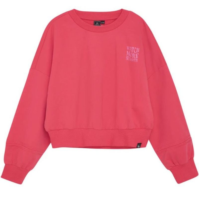 Roze loose fit Sweater Backprint - Capuchon Fashion