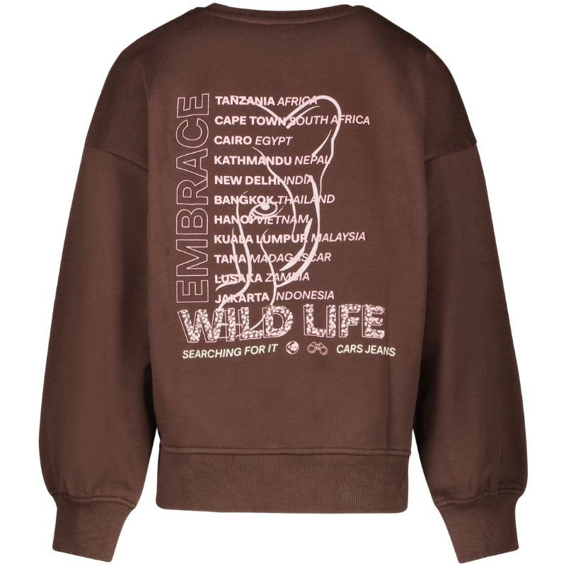 Bruine sweater Peyle - Capuchon Fashion