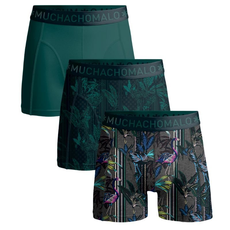 Geprinte 3 - pack shorts Flamingo - Capuchon Fashion