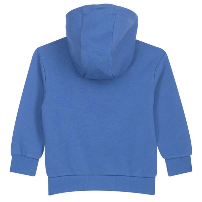 Blauwe hoodie Willem