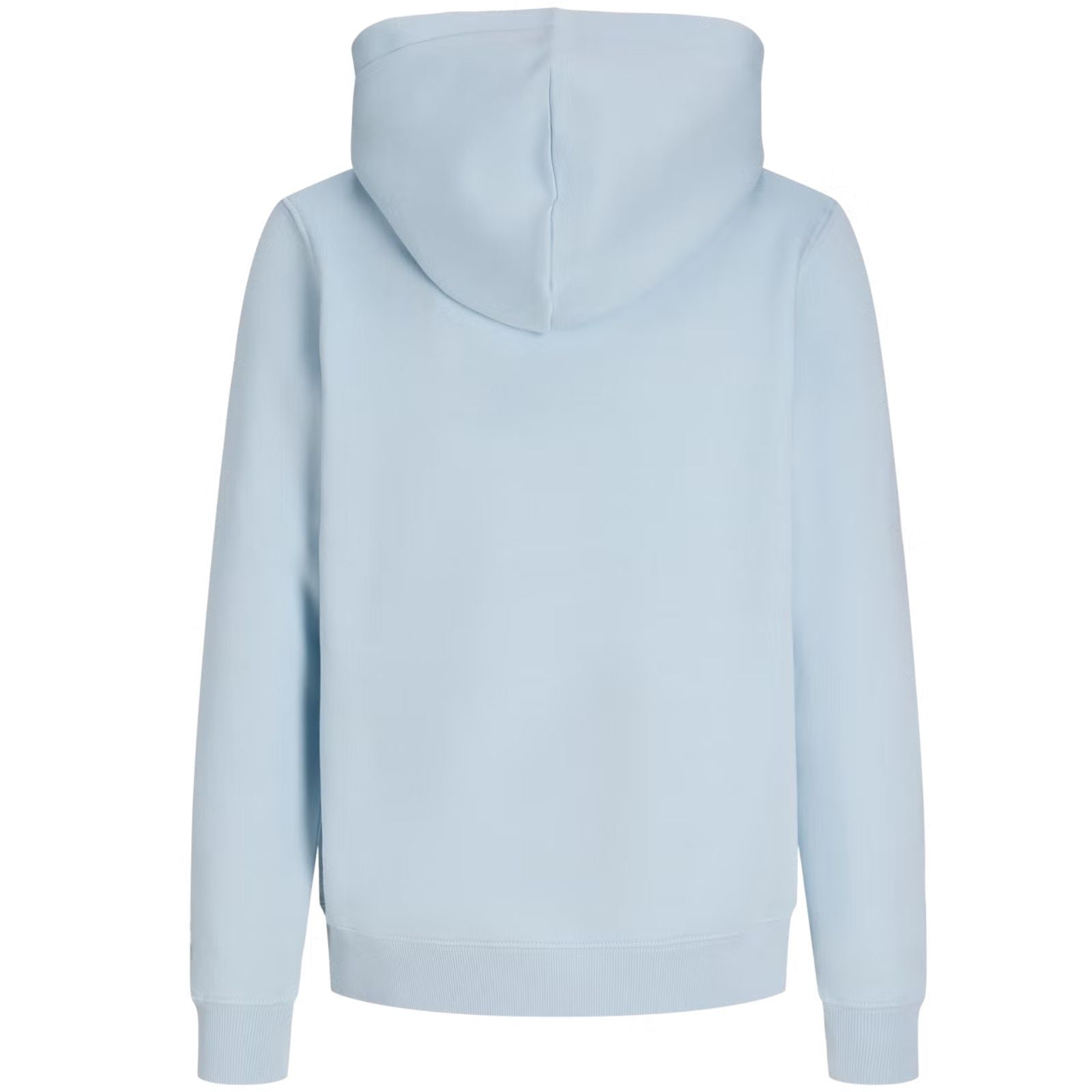 Ice Water sweat hoodie Frederiksberg Monogram