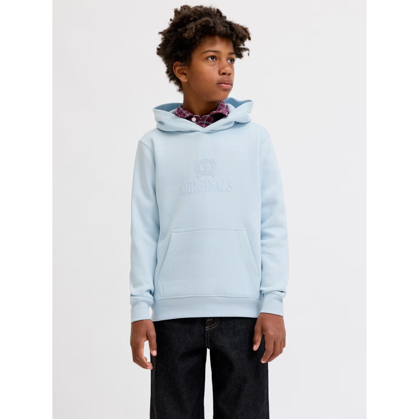 Ice Water sweat hoodie Frederiksberg Monogram