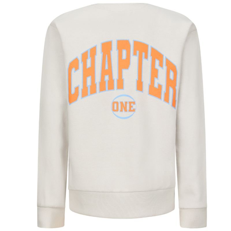 Lichtgrijze sweater backprint Joshua - Capuchon Fashion