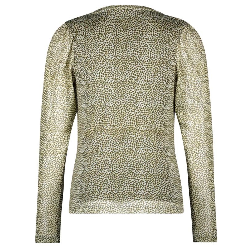 Spotted dot mesh groene top Estee - Capuchon Fashion