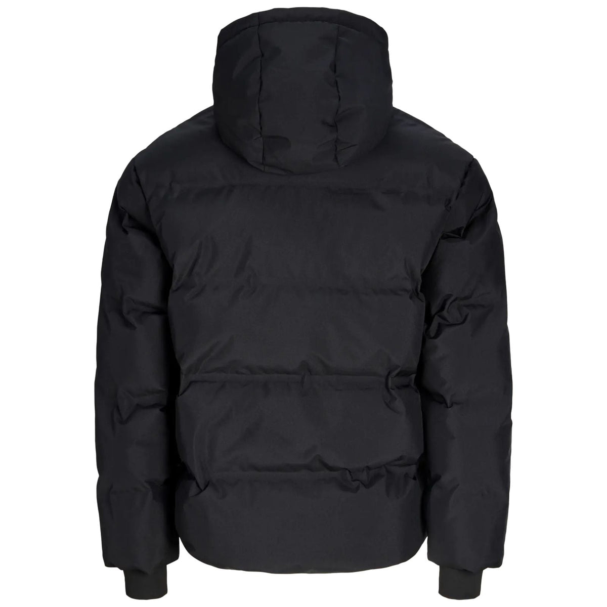 Zwarte puffer jacket Trace Alpha - Capuchon Fashion